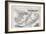 Falkland Islands and Patagonia, Series of World Maps, c.1850-John Rapkin-Framed Giclee Print