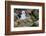 Falkland Islands, black-browed albatross on New Island-Howie Garber-Framed Photographic Print