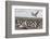 Falkland Islands, Bleaker Island. Imperial Shag Nesting Colony-Cathy & Gordon Illg-Framed Photographic Print