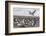 Falkland Islands, Bleaker Island. Imperial Shag Nesting Colony-Cathy & Gordon Illg-Framed Photographic Print