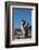 Falkland Islands, Bleaker Island. Rockhopper Penguin Calling-Cathy & Gordon Illg-Framed Photographic Print