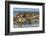 Falkland Islands, Bleaker Island. Southern Sea Lions Near Water-Cathy & Gordon Illg-Framed Photographic Print