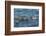 Falkland Islands, Bleaker Island. Upland Goose Family Swimming-Cathy & Gordon Illg-Framed Photographic Print