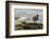 Falkland Islands, Carcass Island. Pair of Kelp Geese-Cathy & Gordon Illg-Framed Photographic Print