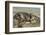 Falkland Islands, Carcass Island. Southern Elephant Seals Arguing-Cathy & Gordon Illg-Framed Photographic Print