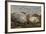 Falkland Islands, Carcass Island. Southern Elephant Seals, Sleeping-Cathy & Gordon Illg-Framed Photographic Print