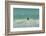 Falkland Islands, East Falkland. Gentoo Penguin Leaping in Surf-Cathy & Gordon Illg-Framed Photographic Print