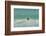 Falkland Islands, East Falkland. Gentoo Penguin Leaping in Surf-Cathy & Gordon Illg-Framed Photographic Print