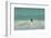 Falkland Islands, East Falkland. Gentoo Penguin Leaping in Surf-Cathy & Gordon Illg-Framed Photographic Print