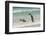 Falkland Islands, East Falkland. King Penguins in Beach Surf-Cathy & Gordon Illg-Framed Photographic Print