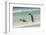 Falkland Islands, East Falkland. King Penguins in Beach Surf-Cathy & Gordon Illg-Framed Photographic Print