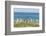 Falkland Islands, East Falkland. King Penguins Walking-Cathy & Gordon Illg-Framed Photographic Print