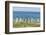 Falkland Islands, East Falkland. King Penguins Walking-Cathy & Gordon Illg-Framed Photographic Print