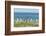 Falkland Islands, East Falkland. King Penguins Walking-Cathy & Gordon Illg-Framed Photographic Print