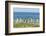 Falkland Islands, East Falkland. King Penguins Walking-Cathy & Gordon Illg-Framed Photographic Print