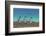 Falkland Islands, East Falkland. King Penguins Walking-Cathy & Gordon Illg-Framed Photographic Print