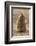 Falkland Islands, East Falkland, Saunders Island. King Penguin Chick-Cathy & Gordon Illg-Framed Photographic Print