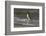 Falkland Islands, Gentoo Penguin emerges from the ocean.-Howie Garber-Framed Photographic Print