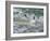 Falkland Islands, Gentoo Penguins emerge from the ocean.-Howie Garber-Framed Photographic Print