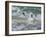 Falkland Islands, Gentoo Penguins emerge from the ocean.-Howie Garber-Framed Photographic Print