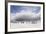 Falkland Islands. King Penguins Watch as a Storm Approaches-Martin Zwick-Framed Photographic Print