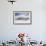 Falkland Islands. King Penguins Watch as a Storm Approaches-Martin Zwick-Framed Photographic Print displayed on a wall