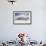 Falkland Islands. King Penguins Watch as a Storm Approaches-Martin Zwick-Framed Photographic Print displayed on a wall