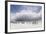 Falkland Islands. King Penguins Watch as a Storm Approaches-Martin Zwick-Framed Photographic Print