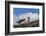 Falkland Islands, Saunders Island. Black-Browed Albatross Resting-Cathy & Gordon Illg-Framed Photographic Print