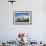 Falkland Islands, Saunders Island. Black-Browed Albatross Resting-Cathy & Gordon Illg-Framed Photographic Print displayed on a wall