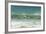 Falkland Islands, Saunders Island. Commerson's Dolphins Swimming-Cathy & Gordon Illg-Framed Photographic Print
