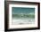 Falkland Islands, Saunders Island. Commerson's Dolphins Swimming-Cathy & Gordon Illg-Framed Photographic Print