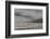 Falkland Islands, Saunders Island. Gentoo Penguins Coming Ashore-Cathy & Gordon Illg-Framed Photographic Print