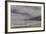 Falkland Islands, Saunders Island. Gentoo Penguins Coming Ashore-Cathy & Gordon Illg-Framed Photographic Print