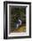 Falkland Islands, Saunders Island. Rockhopper Penguin Bathing-Cathy & Gordon Illg-Framed Photographic Print