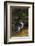 Falkland Islands, Saunders Island. Rockhopper Penguin Bathing-Cathy & Gordon Illg-Framed Photographic Print