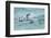 Falkland Islands, Sea Lion Island. Gentoo penguins porpoising in surf.-Jaynes Gallery-Framed Photographic Print