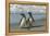 Falkland Islands, Sea Lion Island. Magellanic Penguins on Beach-Cathy & Gordon Illg-Framed Premier Image Canvas