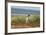 Falkland Islands, Sea Lion Island. Solitary Magellanic Penguin-Cathy & Gordon Illg-Framed Photographic Print