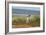 Falkland Islands, Sea Lion Island. Solitary Magellanic Penguin-Cathy & Gordon Illg-Framed Photographic Print