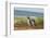 Falkland Islands, Sea Lion Island. Two Magellanic Penguins-Cathy & Gordon Illg-Framed Photographic Print