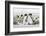 Falkland Islands, South Atlantic. Group of King Penguins on Beach-Martin Zwick-Framed Photographic Print