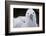 Falkland Islands. West Point Island. Black Browed Albatross Chick-Inger Hogstrom-Framed Photographic Print