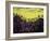 Fall, 1981-Tamas Galambos-Framed Giclee Print