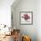 Fall Anemones-James Zheng-Framed Art Print displayed on a wall