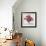 Fall Anemones-James Zheng-Framed Art Print displayed on a wall