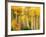 Fall Aspen Trees along Highway 2, Washington, USA-Janell Davidson-Framed Photographic Print