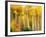 Fall Aspen Trees along Highway 2, Washington, USA-Janell Davidson-Framed Photographic Print