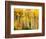 Fall Aspen Trees along Highway 2, Washington, USA-Janell Davidson-Framed Photographic Print