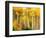 Fall Aspen Trees along Highway 2, Washington, USA-Janell Davidson-Framed Photographic Print